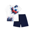 Kid Boy Balls Print Short-Sleeve Tee Shorts Set (11-12 Years) 20418813
