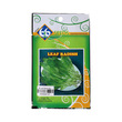 66 Leaf Radish 10G