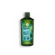 Refresh Shampoo 300ML 55440