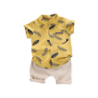 Baby Boy Short-Sleeve All Over Feather Print Button Up Shirt And Solid Shorts Set (9-12 Months) 19538082