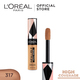 Loreal Infallible Concealer 10ML 317