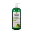 City Value Dishwashing Liquid Lime 1LTR (U)