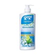 Pu Tuu Ice Mint Fresh (Body Wash) 500ML