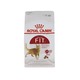 Royal Canin Cat Food Fit 400G No.32