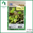 Harvest Shop Lettuce Mix ဆလတ်မျိုးစေ့ HSL 004