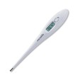 Microlife Digital Thermometer Pen Type MT16F1