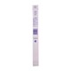 BM Plastic Ruler 12IN NO.2301