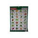 Vegetable Poster