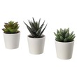 Ikea Fejka Artificial Potted Plant With Pot, In/Outdoor Succulent, 6 CM 3 Pieces Green 205.197.65