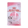 Royal Canin Cat Food Kitten 400G No.36