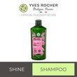 Shine Shampoo 300ML Asia 36184