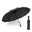 Fashion UV Umbrella Automatic Silver Ring Strike Cloth Black UM187