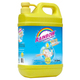 Rainbow Dish Washing Liquid 2LTR