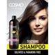 Avocado Soothing Shampoo 480ML ( Cosmo Series )