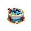 Seasons Cancer Cake (M) 500G
