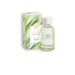 YVES ROCHER Verte Envolee Eau De Perfume 100ML 10181