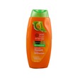Makarizo Hair Energy Fibertherapy Conditioning Shampoo 170ML (Aloe & Melon Extract)
