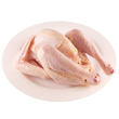 Fresh Free Range Whole Chicken (750-800 Grams: 1 PC)