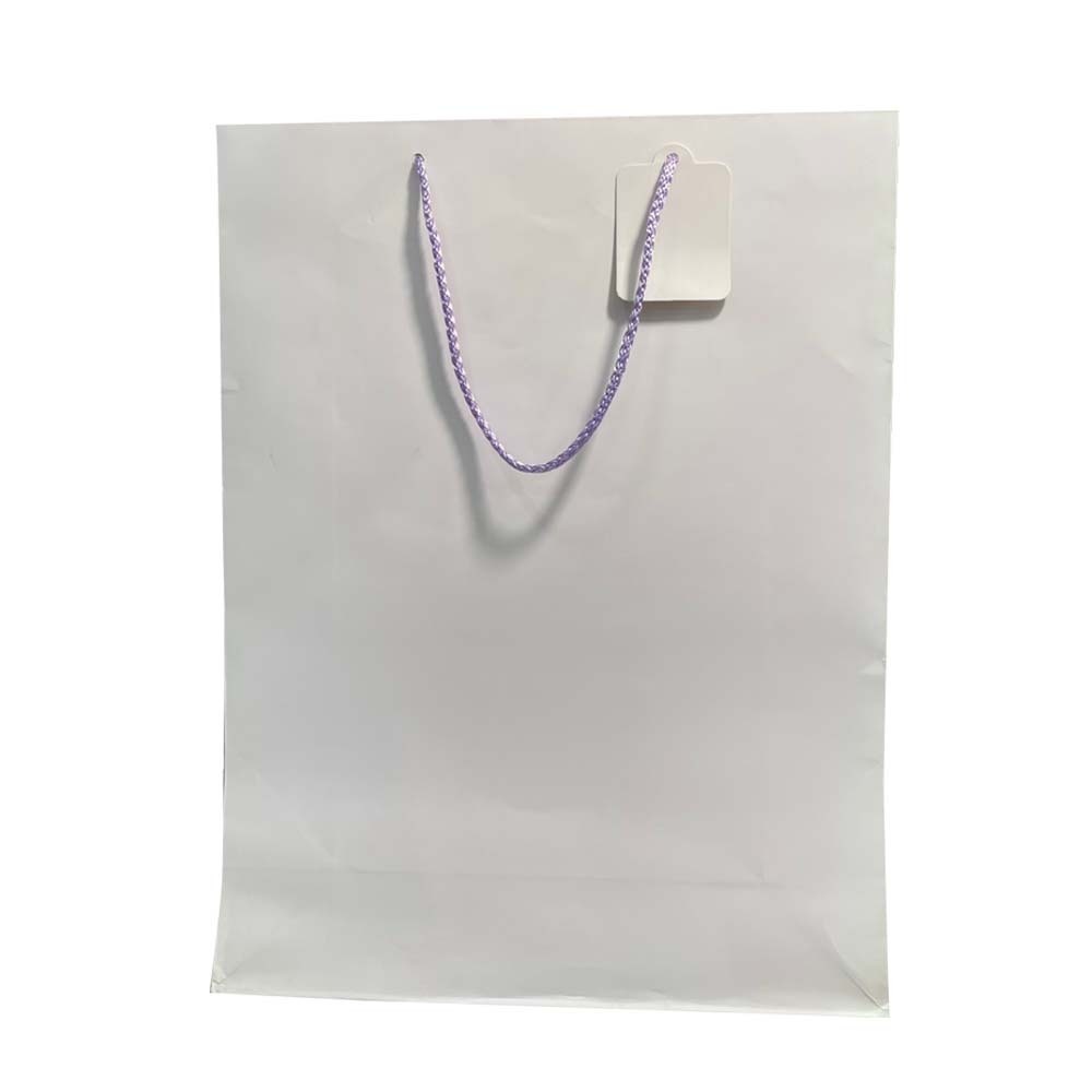 Gift Bag A021078