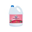 Excel Care Champion Anti-Bacteria Hand Wash 5L (Raspberry) 