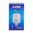Ever Daylight Bulb 30W B22 (Pin)