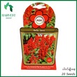 Harvest Shop ပင်စိမ်းပန်းနီမျိုးစေ့ A 014