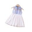 Toddler Girl Button Half Placket Lapel Neck Polka Dots Mesh Tank Dress 20649659