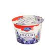 Emmi Swiss Premium Low Fat 1.6% Yoghurt Blueberry