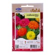 Home Garden Flower Seed (Zinnia)