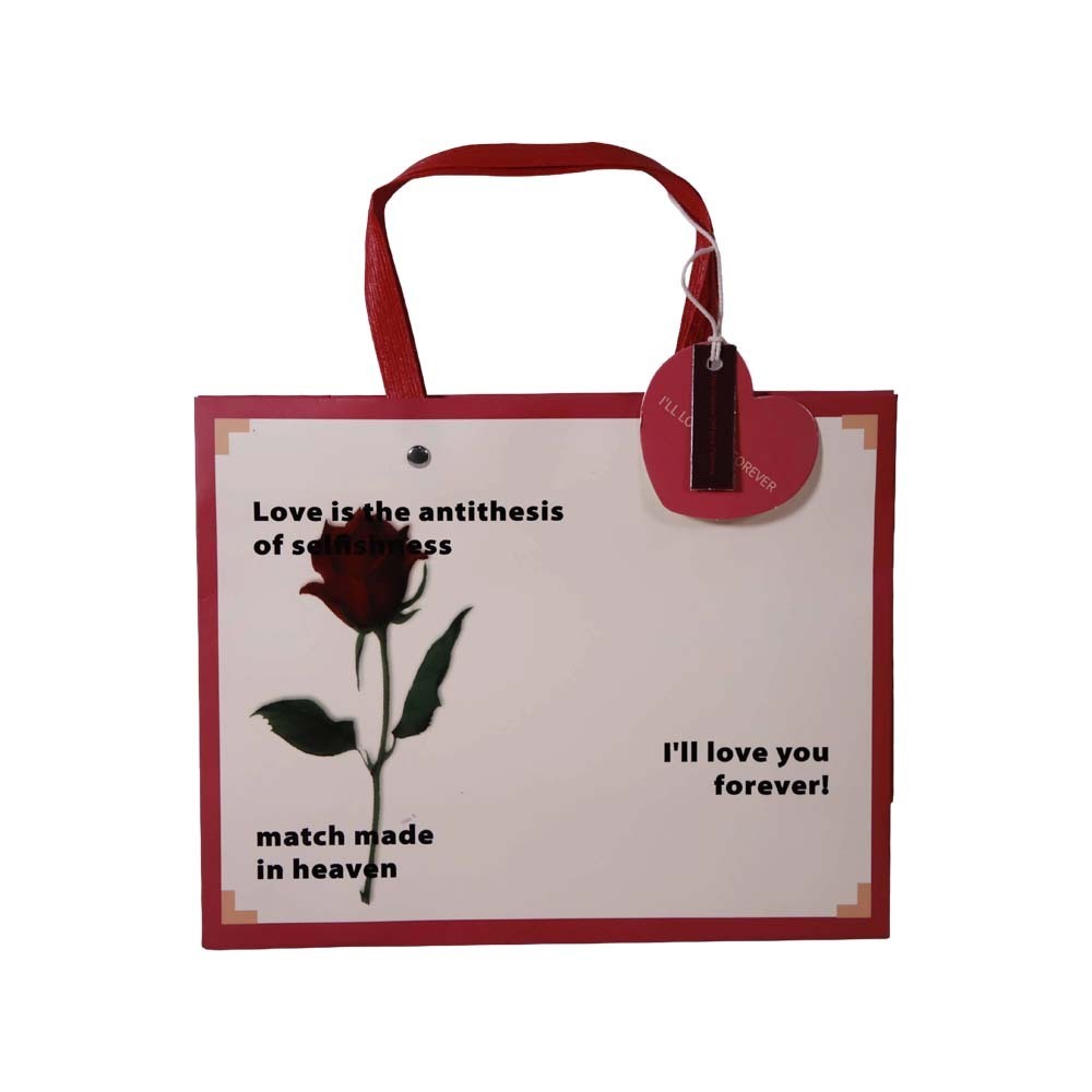 Gift Bag A022373 (L)