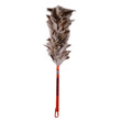 Feather Duster Cane Handle No.1 (Long)