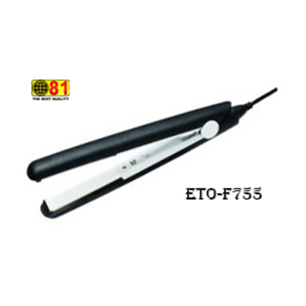 81 Electronic Hair Dryer  F755