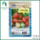 Harvest Shop Seeda ခရမ်းချဉ်သီးမျိုးစေ့ TM 001