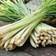Beauty House Natural Lemongrass Mosquito Repellent Incense Sticks