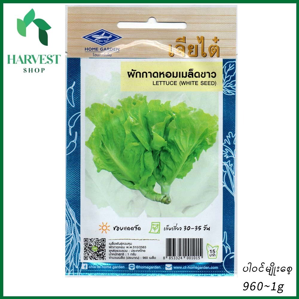 Harvest Shop ဆလတ်အစေ့ဖြူမျိုးစေ့ LF 032