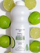 Byphasse Family Fresh Delice Shampoo Green Tea & Lime Norma L To