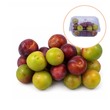 Green Damson Plum 500G