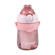 BS Water Bottle Character AST WB-2290