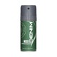 Denim Musk 24-H Deodorant Body Spray 150ML