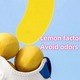 Beauty House Shoes Deodorant Sticker (10PCS)