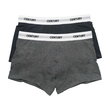 Century Trunk 2`S Small Gray No.002