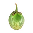 Green Tiger Eggplant 200G