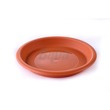 BABA 939 Saucer Cotta 10.8 x 1.2 IN