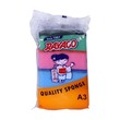 Rayaco Sponge Scrubbers 4PCS A3