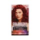 Revlon Colorstay Longwear Cream Hair Colour 6.6