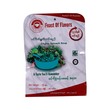 Feast Of Flavors Ceylon Spinach Soup 16G