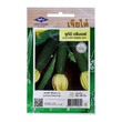 Home Garden Seed (Zucchni Green Day)