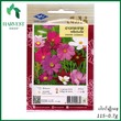 Harvest Shop စိန်ခြယ်ပန်းပင်ပုမျိုးစေ့ HF 016