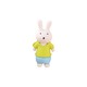 Rabbit Earser Green 20200001