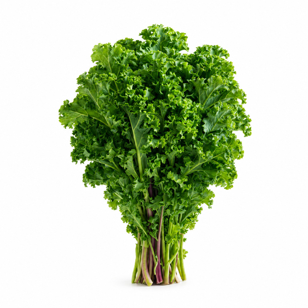 V Fresh Curly Kale 250G